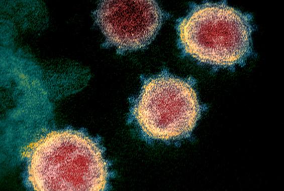 1045088756_0_339_2623_1757_1000x541_80_0_0_e43c90e28b020e90ac7644ef741564cf