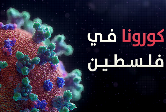 كورونا-فلسطين