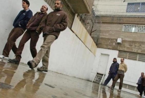 الأسرى في سجون الاحتلال