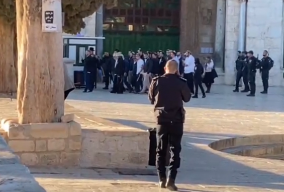 صورة تعبيرية