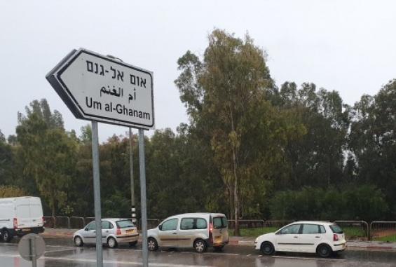 قرية أم الغنم