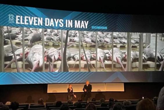 جانب من عرض الفيلم