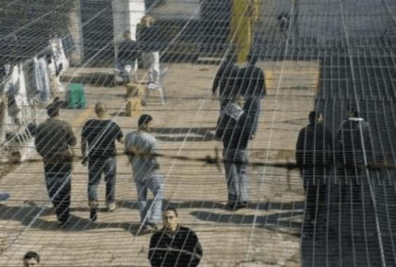 الأسرى في سجون الاحتلال