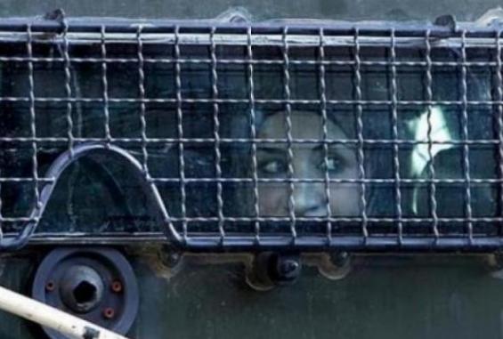 الأسيرات في سجون الاحتلال