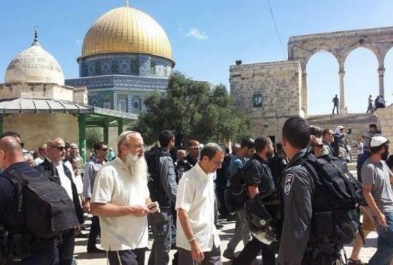 مستوطنون يقتحمون الأقصى - أرشيفية