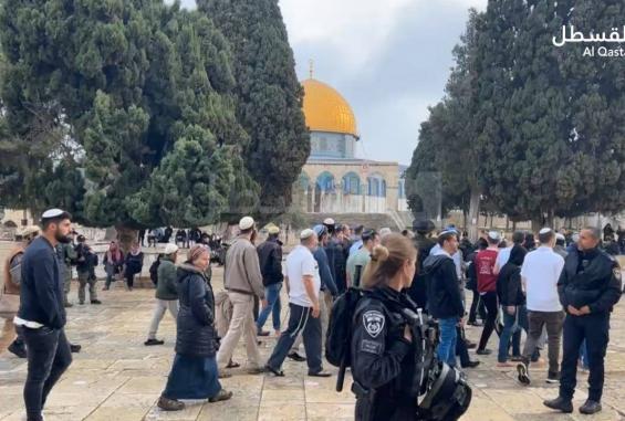 مئات المستوطنين يواصلون اقتحام الأقصى في سادس أيام "عيد الفصح العبري"