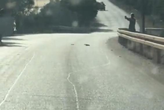 لحظة إعدام الشاب "ديار عمري" من قبل مستوطن إسرائيلي