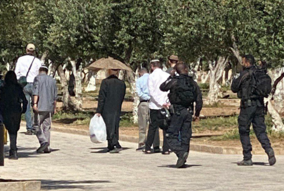 صورة تعبيرية