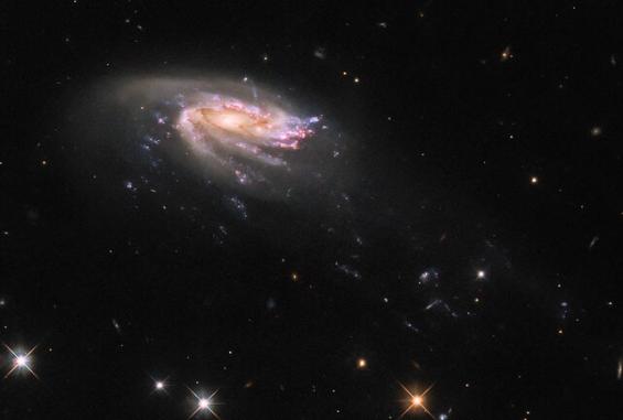 تلسكوب هابل يرصد "قنديل بحر كونيا" يفرخ النجوم