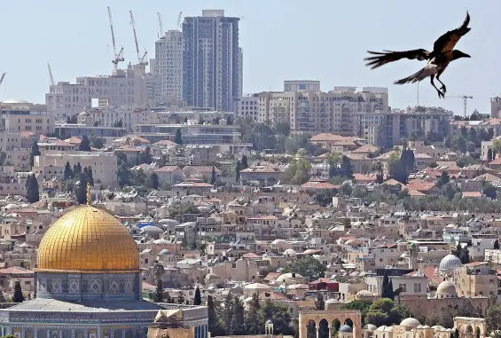 الاحتلال يواصل إغلاق الأقصى ومنع الصلاة فيه لليوم الـ13 على التوالي