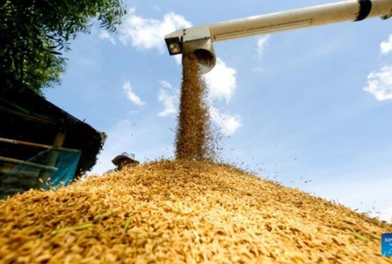 الاحتلال يتفق أذربيجان وأوزبكستان لتأمين إمداداته من الحبوب