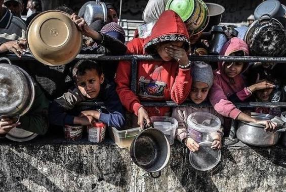 حقوقي لـ"شهاب": العالم مطالب بالضغط على الاحتلال لإعادة فتح المعابر وضمان تدفق الإمدادات الأساسية لغزة