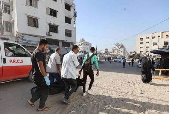 صورة أرشيفية