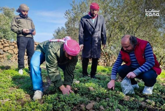 للمرة الثانية خلال أيام.. طائرات الاحتلال ترش مواد مجهولة على أراضٍ زراعية في القنيطرة