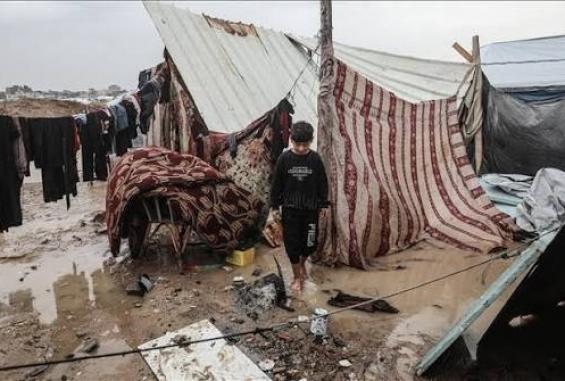 عائلة فلسطينية تسكن في خيمة بالية لا تقي برد الشتاء ولا حر الصيف -أرشيفية-