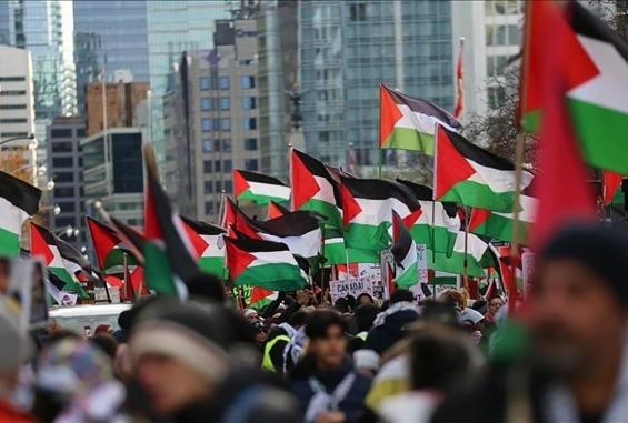 محلل سياسي يمني لـ "شهاب": الحراك العالمي لأجل غزة واجب إنساني ووقف النار لا ينهي المأساة