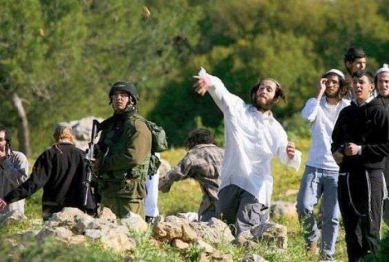 عدوان المستوطنين يتواصل ويتصاعد بحماية وإسناد من قوات الاحتلال