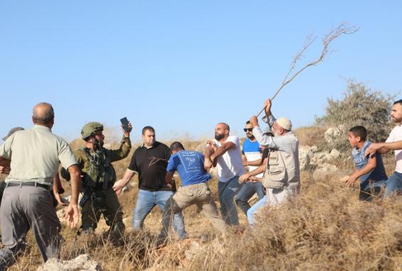 عائلات فلسطينية شرق طوباس ترحل قسريًا تحت ضغط اعتداءات المستوطنين