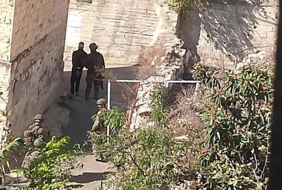 جيش الاحتلال يعتقل مواطنًا ويهاجم رعاة الأغنام في مسافر يطا