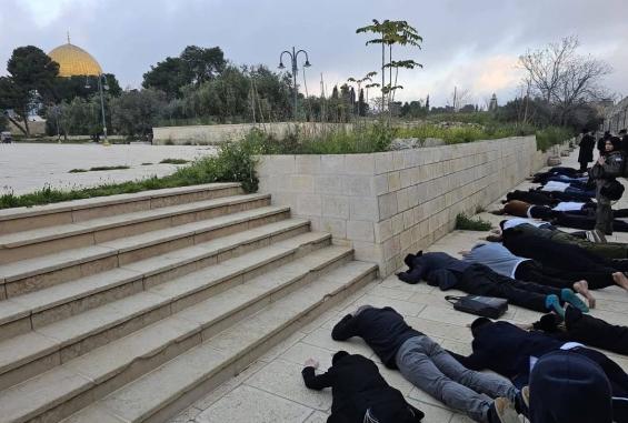 مستوطنون يقتحمون الأقصى