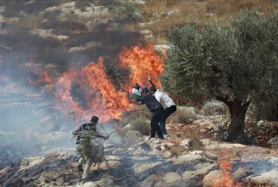صورة تعبيرية