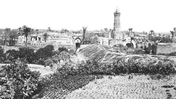 صورة تاريخية حصلنا عليها لمدينة غزة عام 1860 يظهر فيها المسجد العمري الكبير .