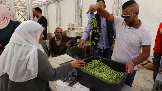 مهرجان قطف الزيتون السنوي التاسع عشر ببيت لحم