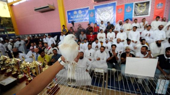 مسابقة اختيار ملك جمال طيور الزينة في مدينة جدة السعودية