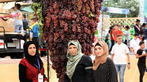 مهرجان العنب الفلسطيني في الخليل بالضفة الغربية