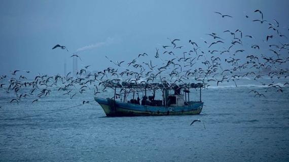 ميناء غزة صباح الأحد