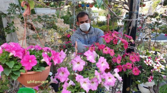 ضعف الإقبال على شراء الورود وأشتالها في زمن كورونا بغزة