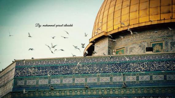 من رحاب المسجد الأقصى المبارك