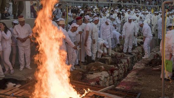 الطائفة السامرية تحتفل بعيد الفصح على جبل جرزيم بنابلس