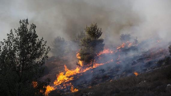النيران تلتهم "اسرائيل" لليوم الثالث ودول أجنبية تهب لمساعدتها وترسل 8 طائرات للمساعدة بإطفاء الحرائق
