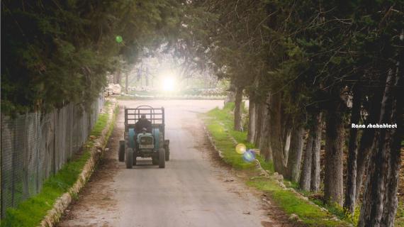 صور من مخيم العروب صباح اليوم