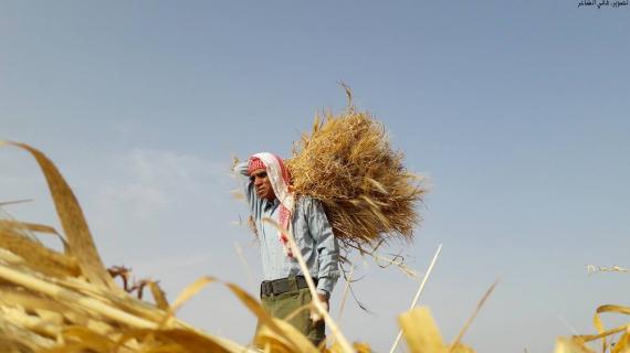 مزارعو الحدود: مُغامرة الزراعة والحصاد