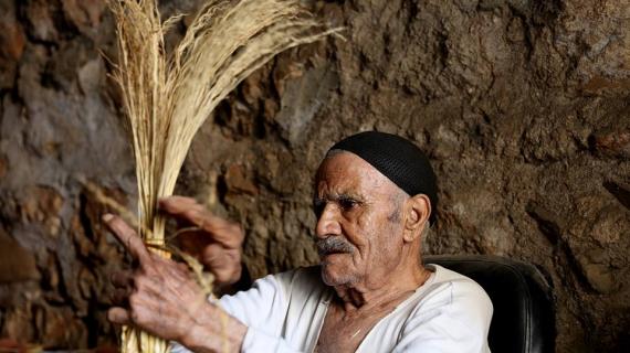 المسن ابراهيم عبد الحق، يواصل صناعة "مكانس القش" بالطريقة التقليدية منذ عشرات السنين في رام الله