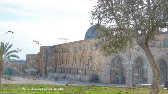 صور جمالية للمسجد الأقصى المبارك تم التقاطها اليوم