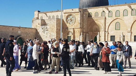 مستوطنون يقتحمون المسجد الأقصى المبارك