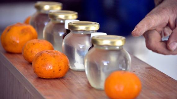 مدينة بودروم في ولاية موغلا تنتج الزيوت والعطور