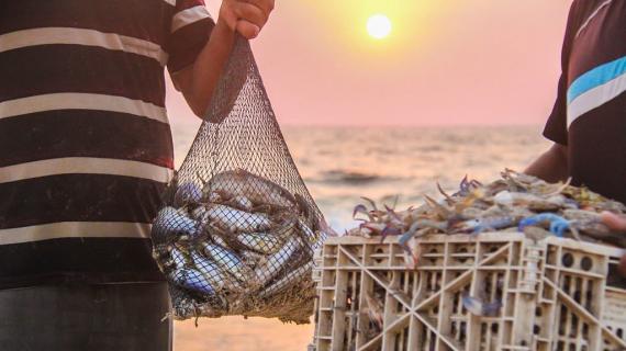 صيد الأسماك في بحر غزة