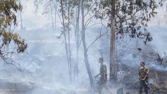 الحرائق المندلعة في مستوطنات غلاف غزة