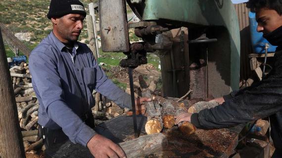 عمال يجمعون ويقصون الحطب لبيعه غرب مدينة نابلس