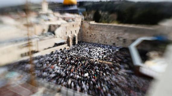 الأقصى يُدنس.. آلاف المستوطنين يؤدون طقوسا تلمودية عند حائط البراق