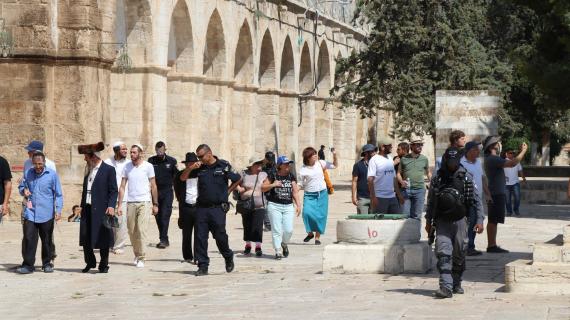 مجموعات من المستوطنين تواصل اقتحام باحات المسجد الأقصى المبارك بحماية قوات الاحتلال