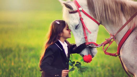 مشاهد جمالية من قطاع غزة المحاصر