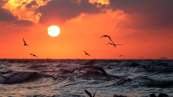 الغروب على شاطئ بحر غزة