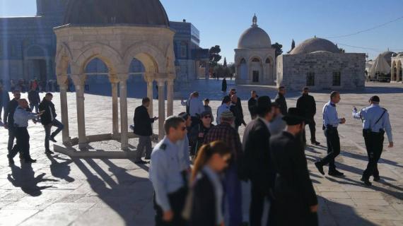 في خطوة استفزازية.. مستوطنون يقتحمون صحن قبة الصخرة بالأقصى