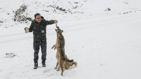 تواصل هطول الثلوج على مدينة كاستامونو التركية