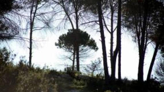 محمية وادي القف شمال غرب مدينة الخليل